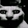 HoneyBadger420's Avatar
