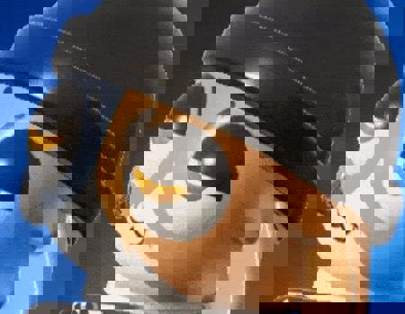 Meowskulls's Avatar