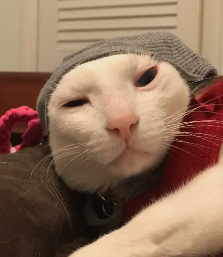 Bubkis69's Avatar