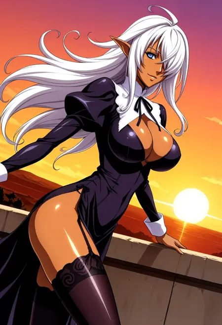 Seikon no Qwaser Anime Style