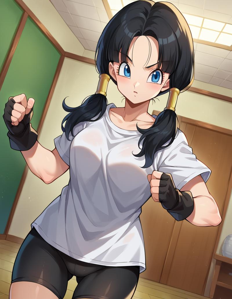 videl-5dd0b-1481049623.png