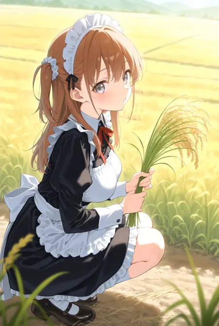 rice (plant) / 稲穂 / 新米 / 収穫