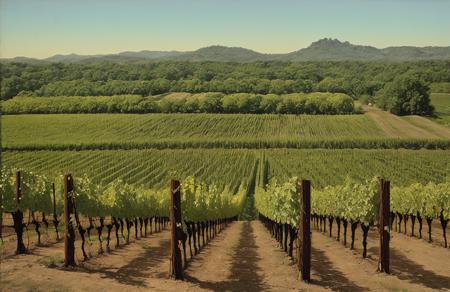 style of Roger Dean, vineyard ,terrace ,arboretum ,ranch ,