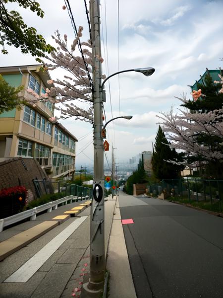 masterpiece, best quality, ultra-detailed, illustration,
haruhizaka, kitakoumae, scenery, outdoors, tree, lamppost, road, sign, power lines, fence, utility pole, sky, road sign, building, street, water, cloud, cherry blossoms, grey sky, grass, real world location, 
 <lora:kitakoukou:1>