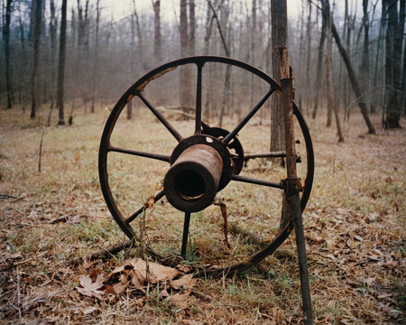 william eggleston