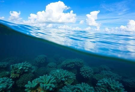 ultra HD, high quality, 4K, score_9, score_8_up, score_7_up, under the ocean, coral reefs, Ocean seascape calm waves with blue sky and clouds, light sand ripples water, vibrant blue, <lora:aidmaFluxStyleXL-v0.2:0.7>, 
 <lora:aidma-Image Upgrader-v0.1:0.351>, intricate detail, winning, sharp focus, original, flux-style