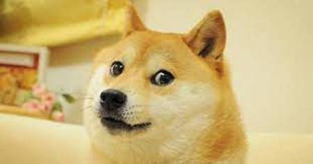 Find_my_doge's Avatar