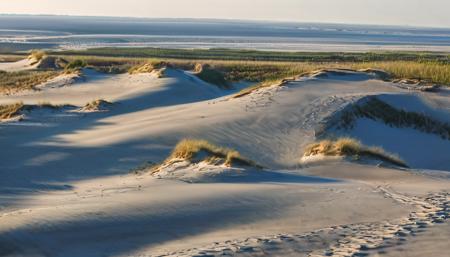 Coastal Dunes Photography