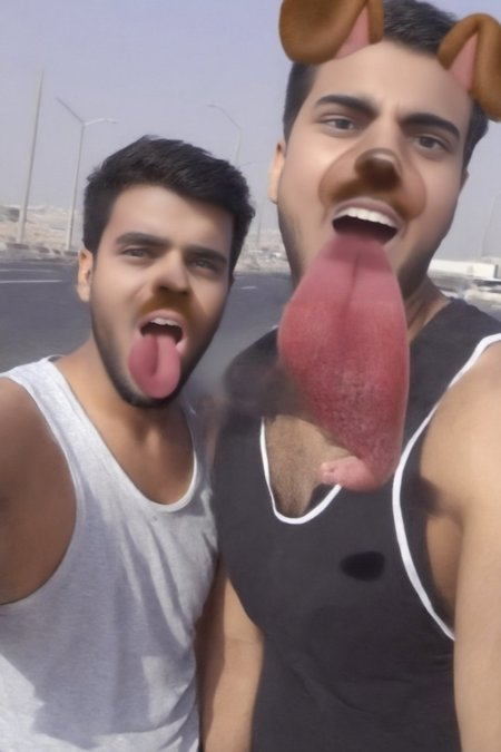 dogfilter