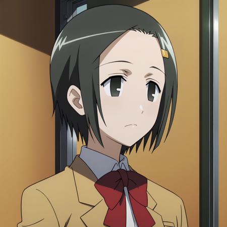 Ranko Hata (Seitokai Yakuindomo) XL pony LORA v1.0