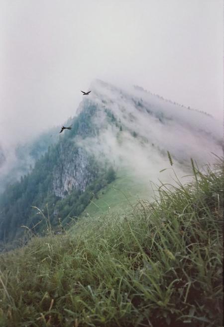 soaked_kaffee, instagramphoto, a foggy mountain somewhere in europe with some birds in the sky, soft shadows, filmgrain
