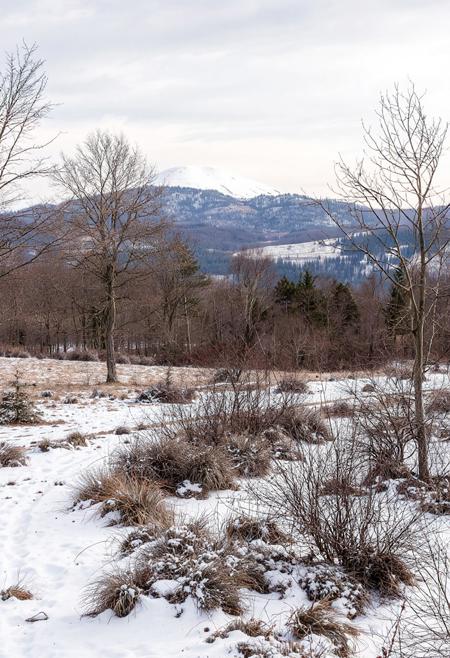 February landscape.