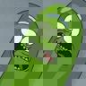 PickleRick_1856
