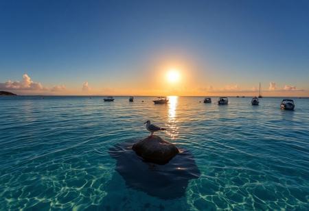 score_9, score_8_up, score_7_up, photo Quality, scenic setting of a calm Caribbean bay at sunset.  The water is crystal clear.  The sun is reflect off of the water.  A seagull sits on a rock in the middle of the bay