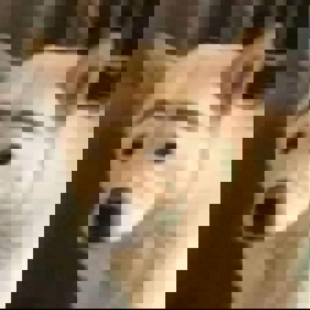 Civitaitian5000's Avatar