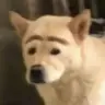 Civitaitian5000's Avatar