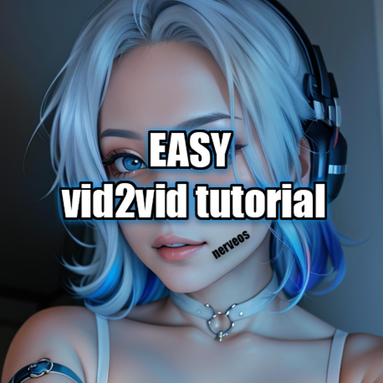 Vid2vid tutorial