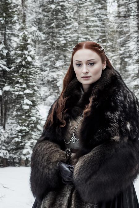 a realistic photo of a sstark woman with a fur collar and a black dress with a silver and gold design,forest background, bokeh, Araceli Gilbert,  a character portrait,