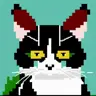 BlueB's Avatar