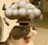 Kosub's Avatar