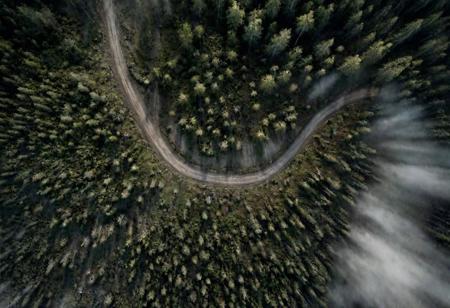 RPG Tile, RPG Battlemap, top down view, birds eye view, overhead view of a haunted forest, eerie, dust road, ground fog, dim light, realistic, clear picture, UHD, 8K, photorealistic