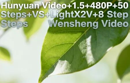 Hunyuan Video+1.5+480P+50 Steps+VS+LightX2V+8 Steps Wensheng Video