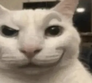 bruhman2's Avatar