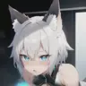 zx19958482601's Avatar