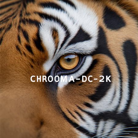 Chroma-Flash-Heun Rank 48