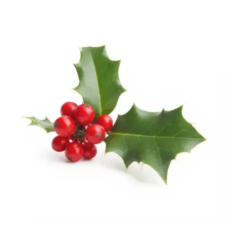 Christmas holly made