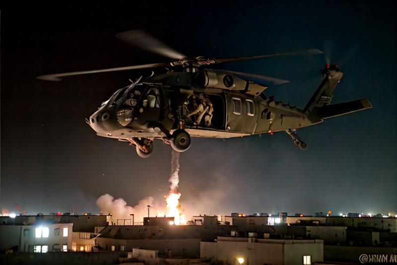 UH-60 Black Hawk (1978) image by texaspartygirl