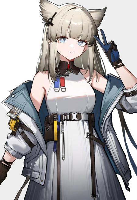 Character：佩丽卡 明日方舟：终末地 | Perlica Arknight:Endfield【Noob V-pred 1.0】 v1.0
