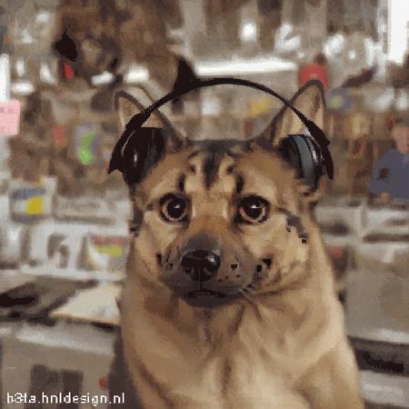 Record Store Cats | Vibing Cat With Headset meme | PDXL V1