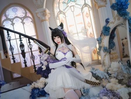 NSFW WAN2.2 T2V cosplay white lace dress v1.0