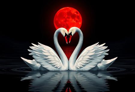 A cinematic illustration of two swans entwined as a heart shape in the still waters of a serene lake. The swans are artfully painted in a striking black and sleek red design. The vibrant red accents draw the eye, creating a bold and eye-catching contrast against the deep, enigmatic black background. The full red moon casts its ethereal glow on the scene, adding to the mystique. The overall effect is a striking conceptual art piece that explores the themes of love, passion, and the unknown.