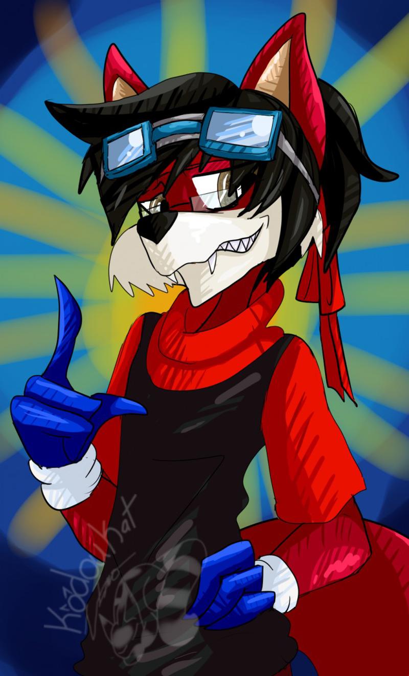 1497754910.kodoukat_request_rayfox.png.jpg