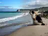 83catsonthemoon's Avatar