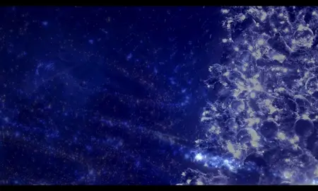 Video posted by johndpappas266