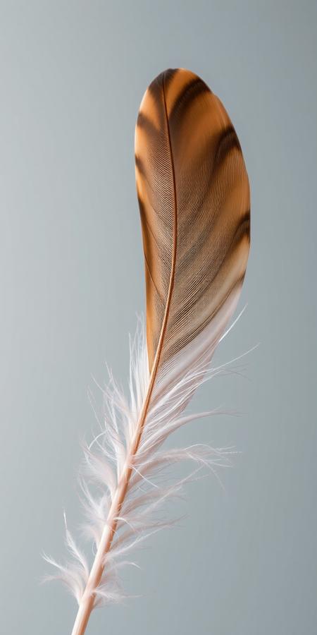 feather tuft with lize helesta