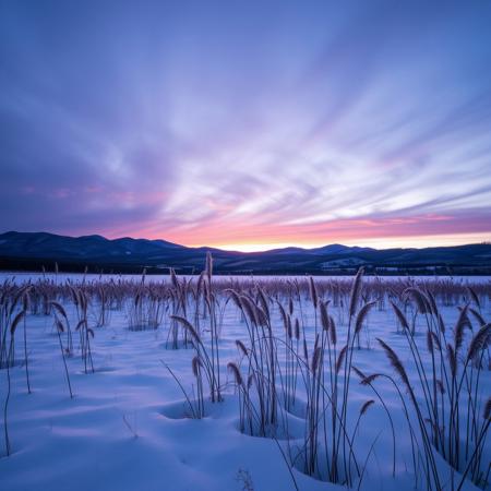 Snowy Field, Tall Grass, Icicles, Deep Snowfall, Great Rolling Hills, Dim Sky, Evening Sunset Sky, Purple Sky, Masterpiece, Scattered Forest, Sloping Hills, Winter Solstice