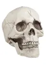 Nagalover's Avatar