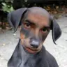 Bananadis's Avatar