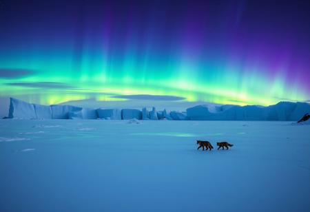 A breathtaking shot on the polar glacier: Panoramic view of the azure icebergs reflecting the vibrant aurora borealis, casting an ethereal glow across the vast snowy expanse. In the distance, wispy trails of green and purple lights dance in the night sky, as a few Arctic foxes stroll leisurely, their fur blending seamlessly with the icy landscape.