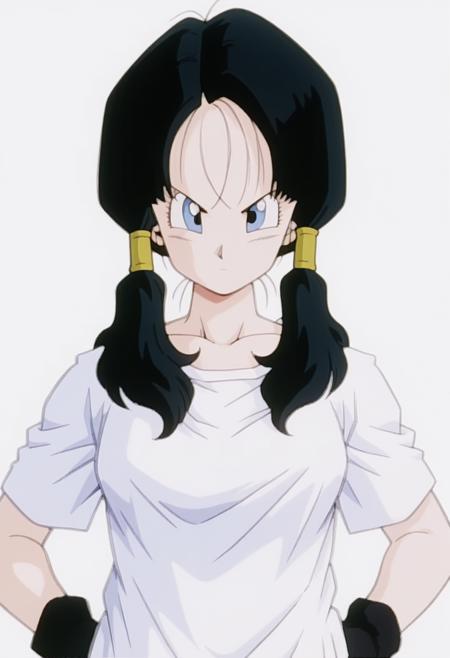 Videl à la carte Boo Saga