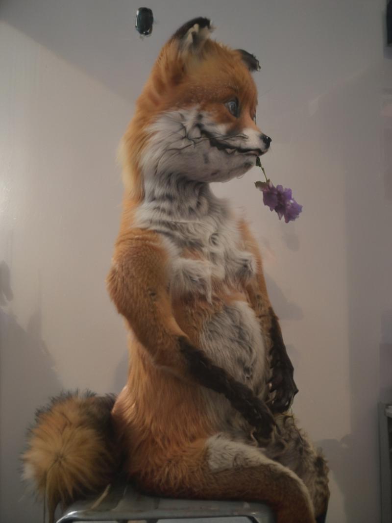 SDXL - Stoned Fox image by TijuanaSlumlord