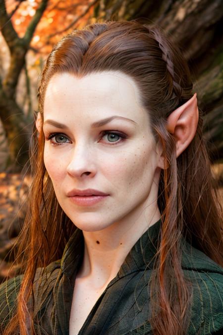 masterpiece, best quality, 35 years old, raw photo, detailed, perfect skin,  pale skin, deep shadows, striking color, elf woman
 <lora:Tauriel:0.8> Taur1al