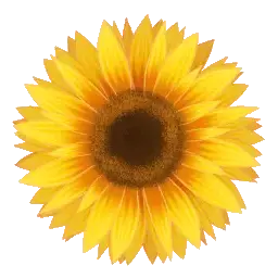 fiiygm892's Avatar
