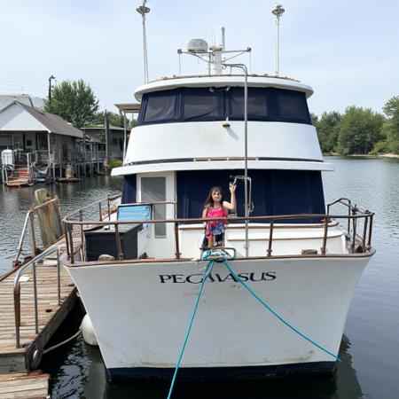 Pegasus Trawler V1