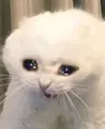 lazygrinder's Avatar