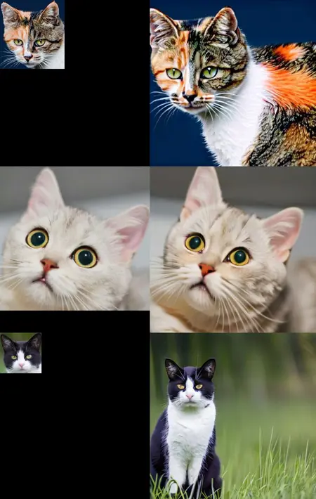 IP-Adapter-plus cat face identity fine tune